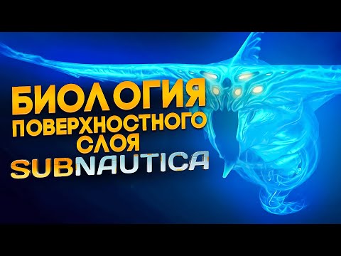 Видео: Биология игры Subnautica | Ч.1| Спекулятивная биология