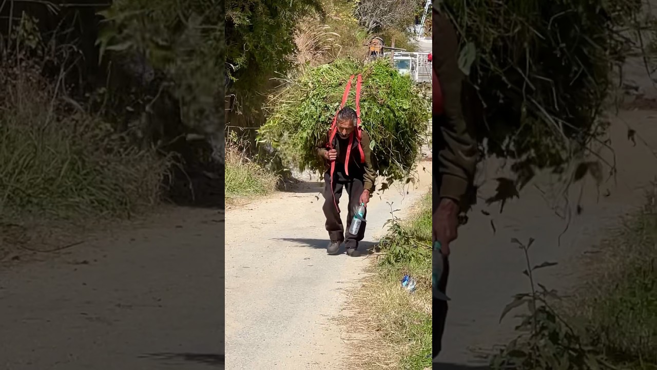 Life is not easy for all. So , have patience in what you have 