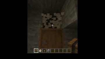 HIDE your valuables in PLAIN SITE - tips, tricks, & hacks #shorts #minecraftshorts