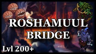 ROSHAMUUL BRIDGE - Where To Hunt Mages Lvl 200+ [TIBIA]