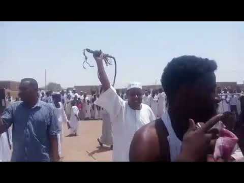 ميرفاب زواج اولاد فللي السلمه بربر