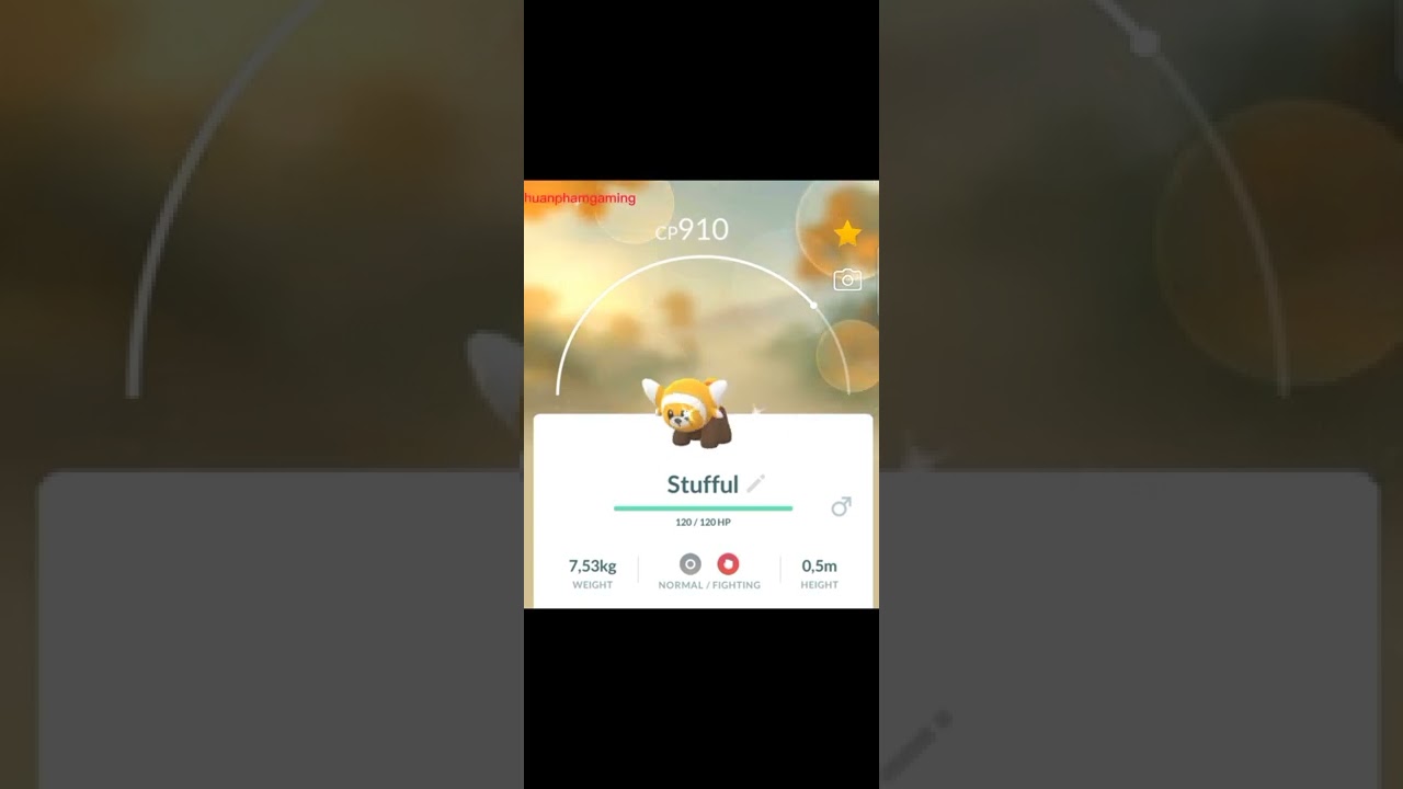Pokemon Shiny Stufful 