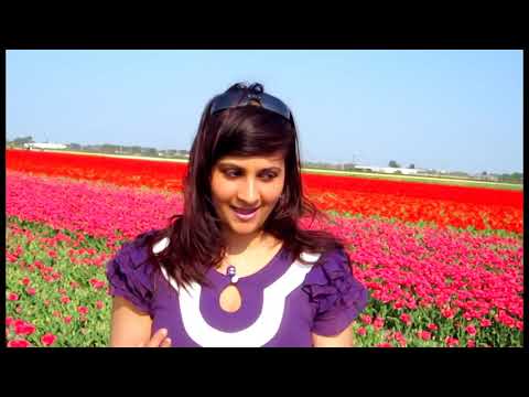 Mastana Mausam Hai Rangeen Nazara   Dil Hai Tumhara   Sandra  John Baitali   Keukenhof