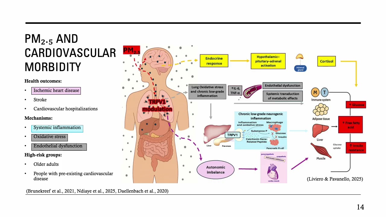 Air pollution and associated health impacts of fine particulate matter in Southeastern Europe