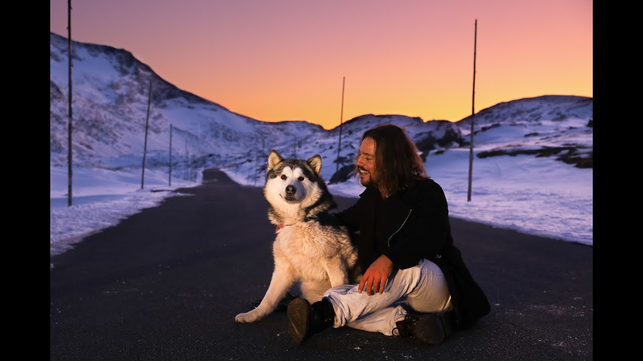 WhileWild - Somebody Say (Official Music Video) 4K