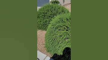 Water Leak at the Meter. How to help find a water leak at your house.