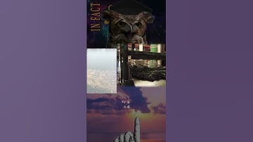 IN FACT,Combined sewer overflow