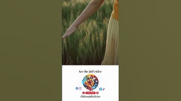 Free Will VS Determinism