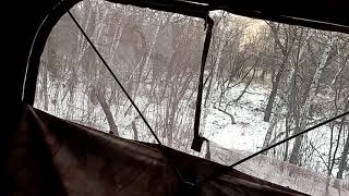 Hunt #2 ND screenshot 1