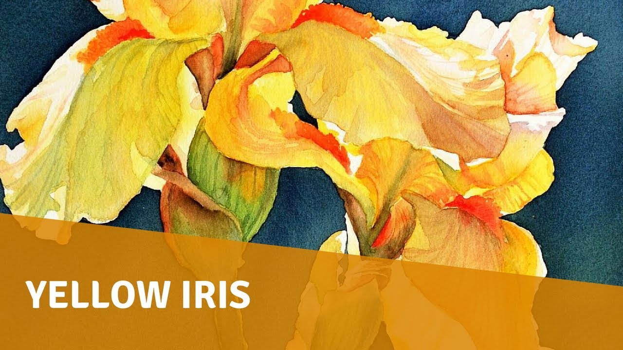 Watercolor Painting Demo - Yellow Iris - YouTube