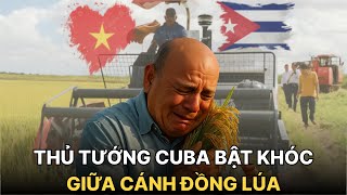 Thủ Tướng Cuba Bật Khóc Giữa Đồng Lúa, Việt Nam Khiến Cả Thế Giới Ngỡ Ngàng.