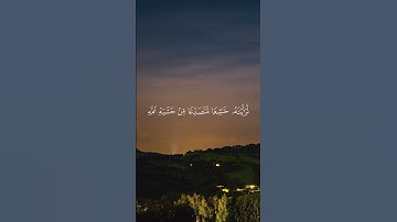 {لو أنزلنا هذا القرآن على جبل... } 🍁 سورة الحشر #رعدالكردي