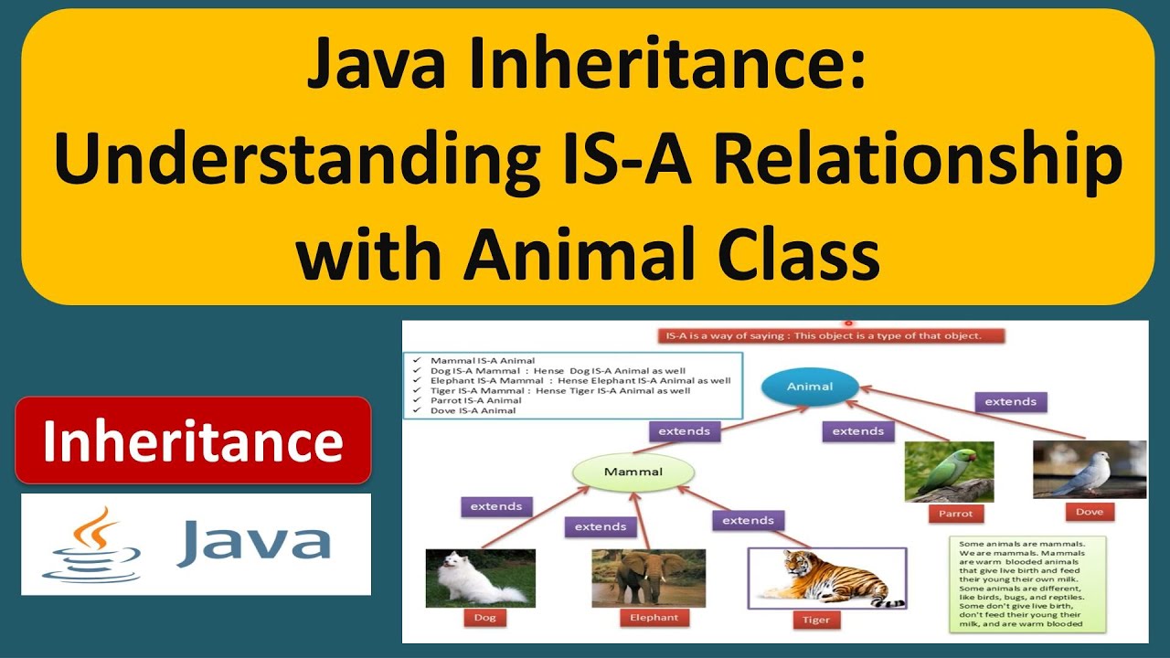 Implementation java. Extends в джава. Inheritance java. Java animals extends. Inheritance java пример.