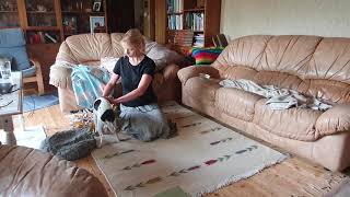 Exploring nuances Baliely 2