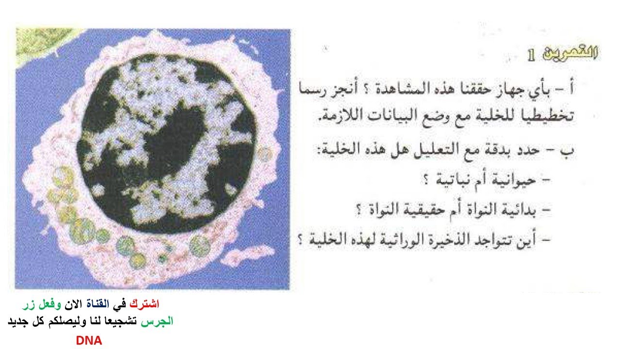تمارين الخلية وحدة بنيوية للسنة الثانية ثانوي
