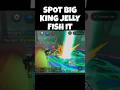 SPOT BIG KING JELLY 200 TON - ANCIENT JUNGLE.#4u #fishit #mancing #roblox #robloxfishit#roblox