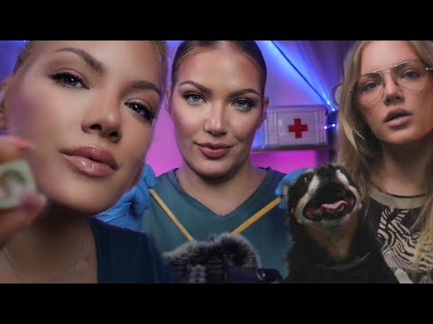 ASMR Most Relaxing Scalp Check, MUA, Pet Therapy | Medical & Personal Attention RPs Binaural Audio🎧