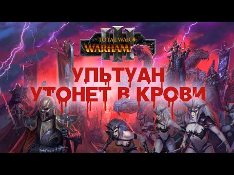 Видео: Тёмные Эльфы. Фракции Total War Warhammer 3