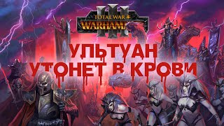 : Ҹ .  Total War Warhammer 3