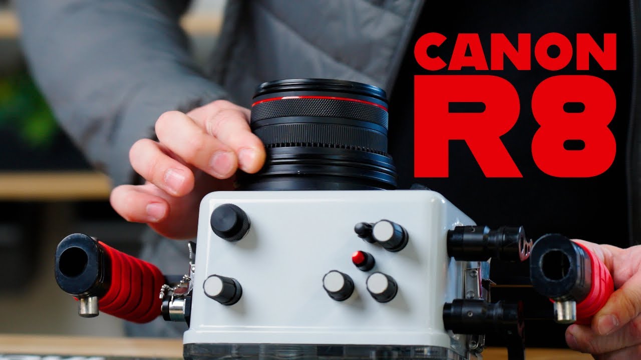 Canon R8 // Underwater Housing Assembly Ikelite 200DLM/D - YouTube