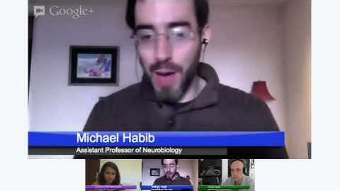 Flying Fossils: #SciSun Hangout on Air featuring Michael Habib