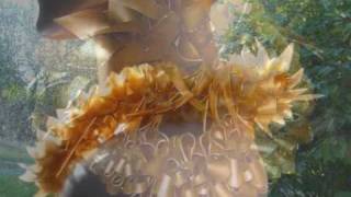 RUBBER fashion, nelly van nieuwenhuijzen