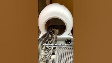 Robot Self- Automatic Self- Cleaning Cat Litter Box | cat litter box | best automatic cat litter box