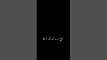قرآن الكريم سورة النمل القارئ اسلام صبحي الآية(٣٧)