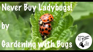 Never Buy Ladybugs by Gardening with Bugs