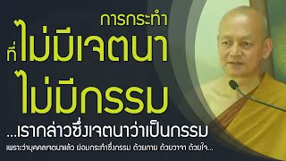 การหลุดพ้น เมื่อเห็นไตรลักษณ์ | สัทธานุสารี (ผู้แล่นไปตามศรัทธา ) หยั่งลงสู่ระบบแห่งความถูกต้อง