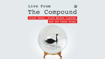 Black Swans, Stock Market Crashes and the Chaos Kings