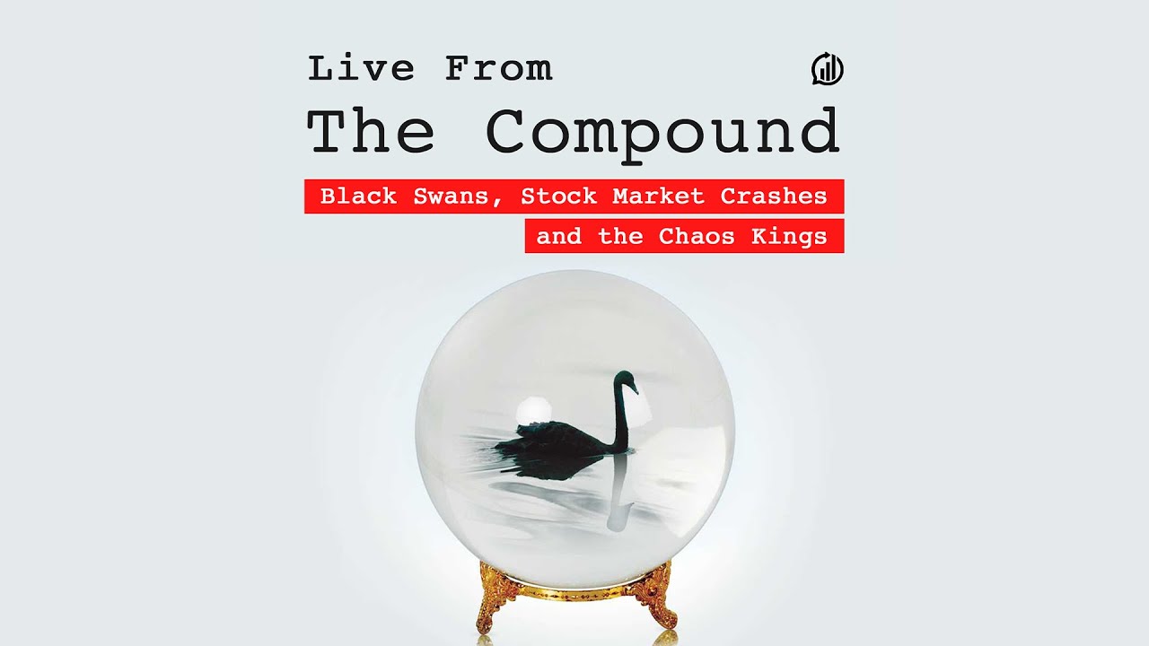 Black Swans, Stock Market Crashes and the Chaos Kings