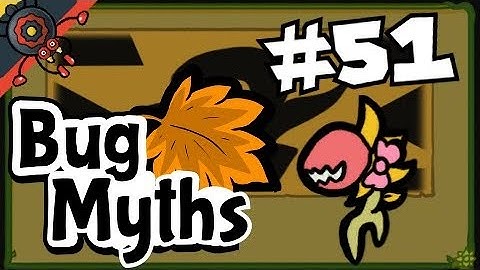 Bug Fables Myth #51: Celebratory Ribbons