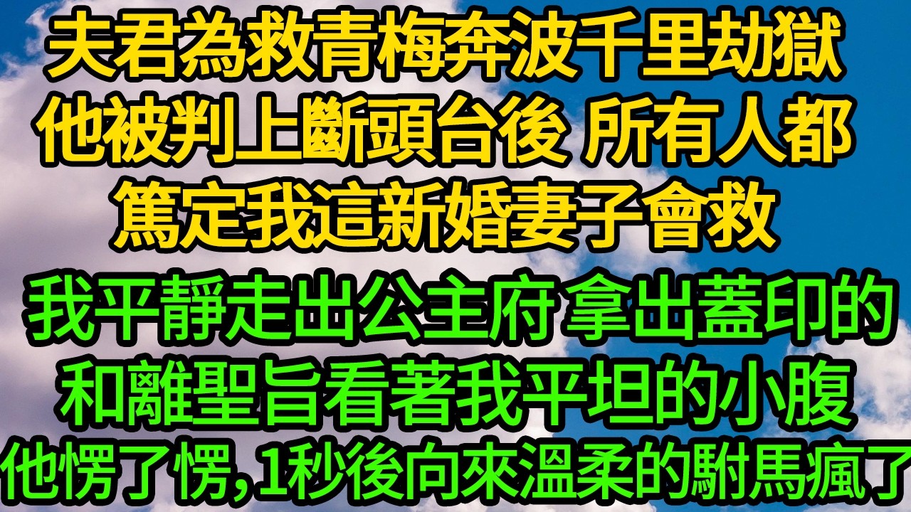 夫君為救青梅奔波千里劫獄，他被判上斷頭台後 所有人都篤定我這新婚妻子會救。我平靜走出公主府 拿出蓋印的和離聖旨，看著我平坦的小腹 他愣了愣，1秒後向來的溫柔的駙馬爺瘋了