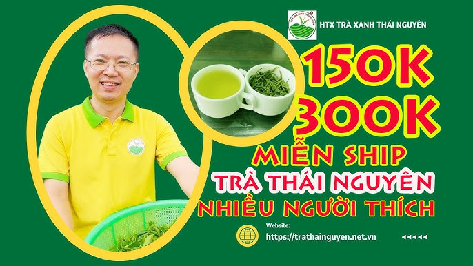 Top 8 Địa Chỉ Mua Chè Thái Nguyên Ngon Nhất Được Người Sành Trà Đánh Giá