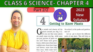 Getting to Know Plants Full Chapter Class 6 Science 2023 | NCERT Science Class 6 Chapter 4-[Part2/2]