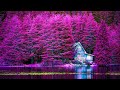 3 Hour Relaxing Sleep Music + Insomnia - Stress Relief, Relaxing Music, Deep Sleeping Music