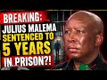 BREAKING: Julius Malema Reportedly Sentenced to 5 Years?! 🇿🇦