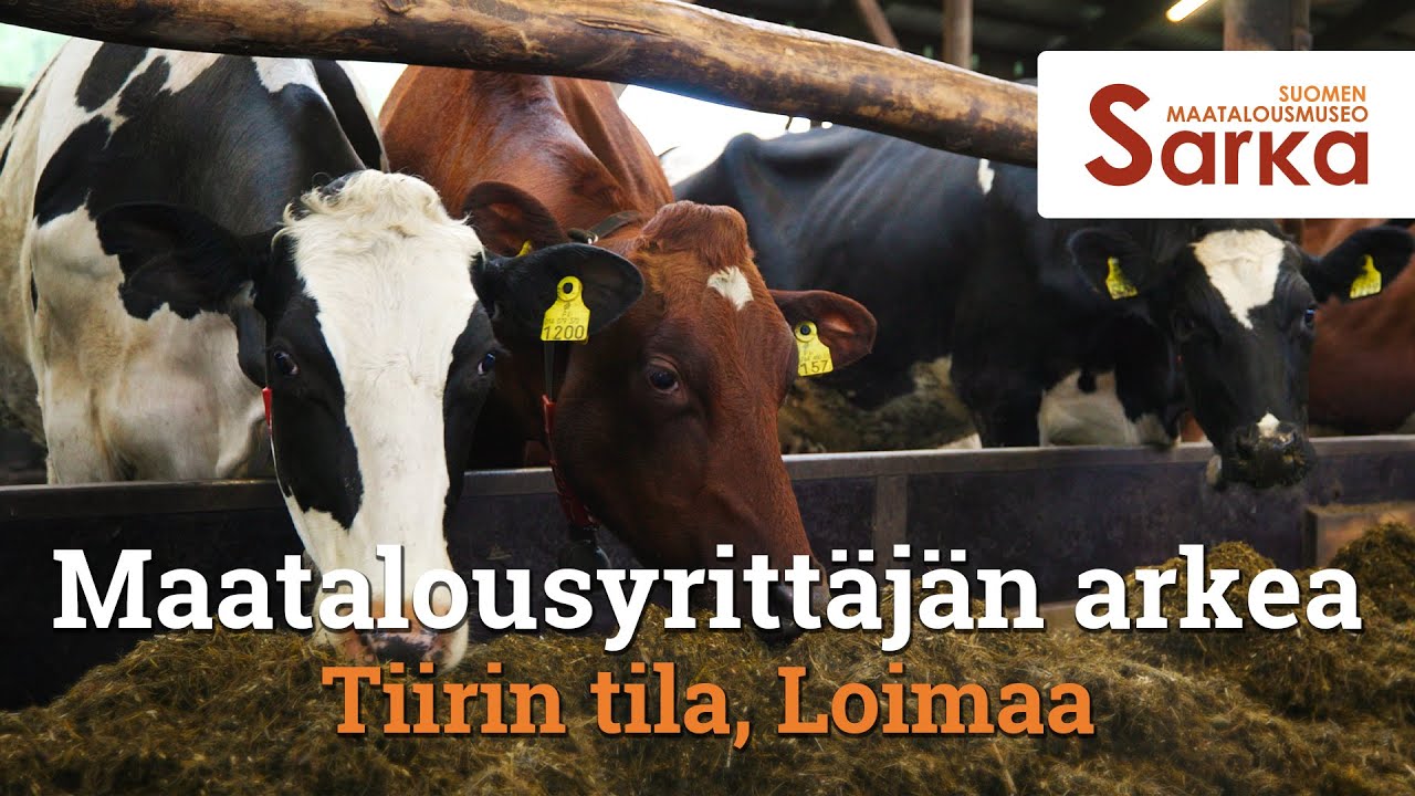 Maitotilan arkea Loimaalla