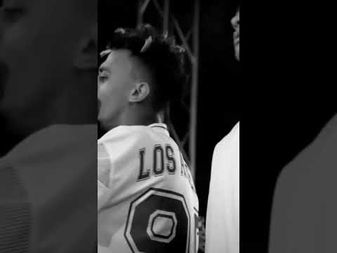 انت سيكي ميكي وعلي قدك كزبرة و جاكي