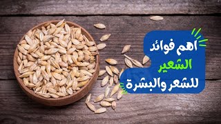 تعرف على اهم فوائد الشعير للشعر والبشرة