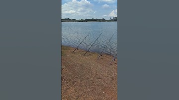 trải nghiệm câu cá đập thủy điện trị an thất bại rồi ae ơi.....cá ko i hết