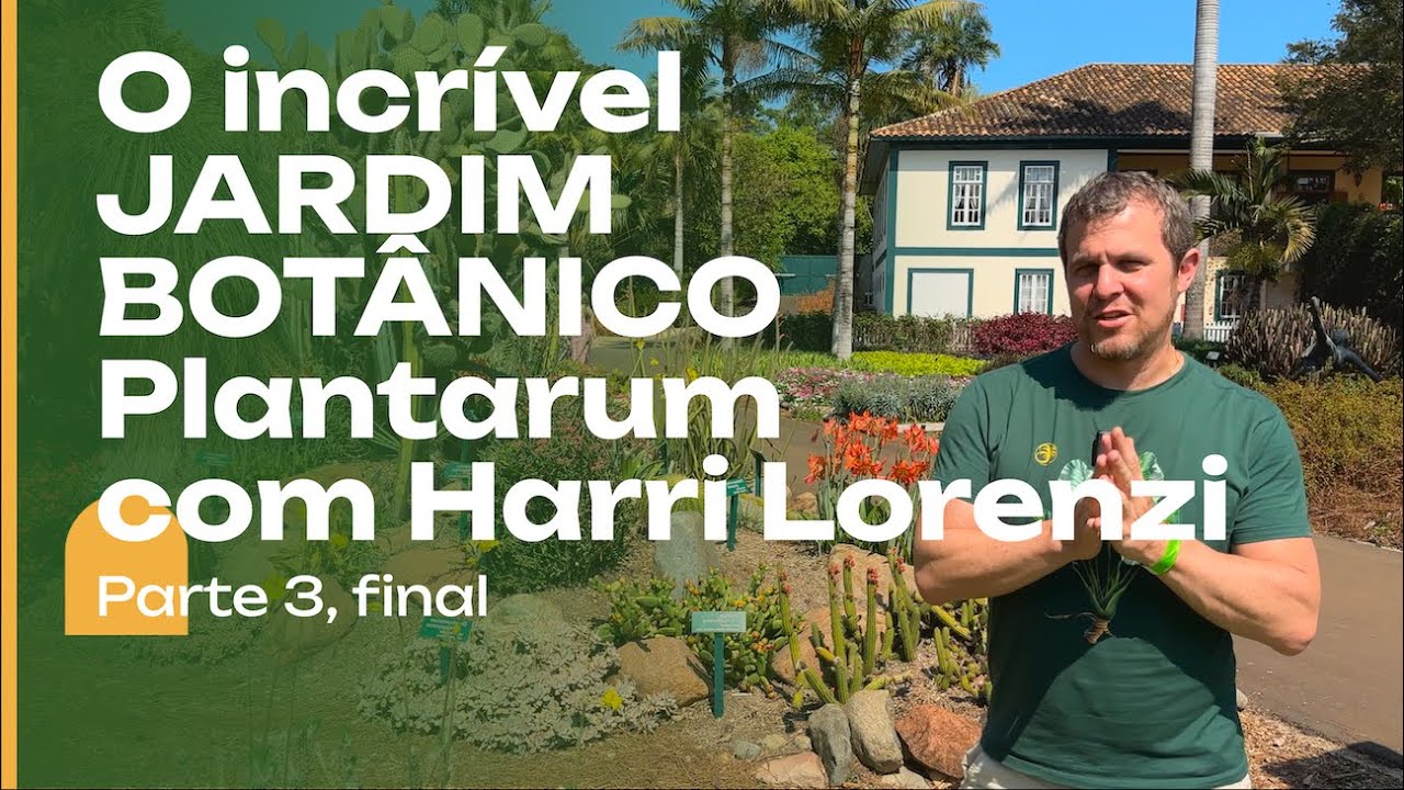 Jardim Botânico Plantarum: o maior da América Latina em número de espécies.