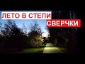 Лето в степи - сверчки | #Волжский, сентябрь 2023