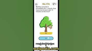 BRAIN OUT Level 174 MONKEY CAN PICK 2 PINEAPPLES PER MINUTE