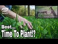 Best Time To Plant A Food Plot