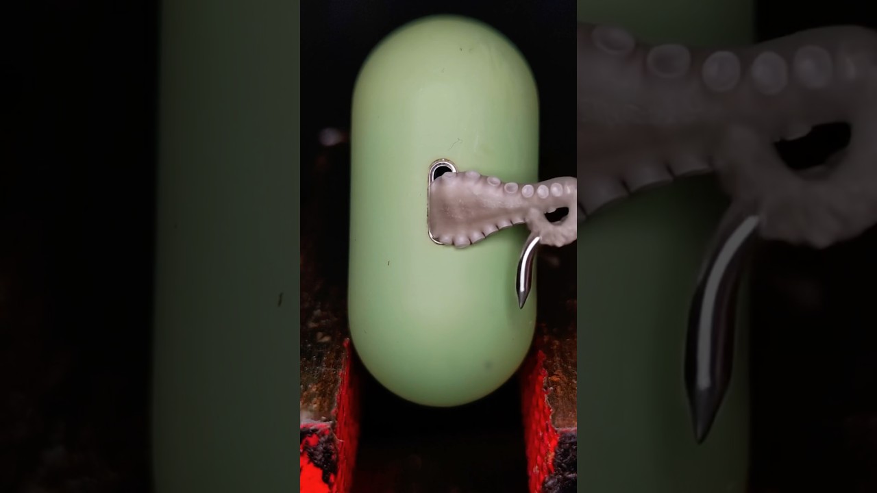 There Was a Living Thing Inside the Charging Port 😱 