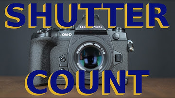 How to Check the Shutter Count on Olympus Cameras