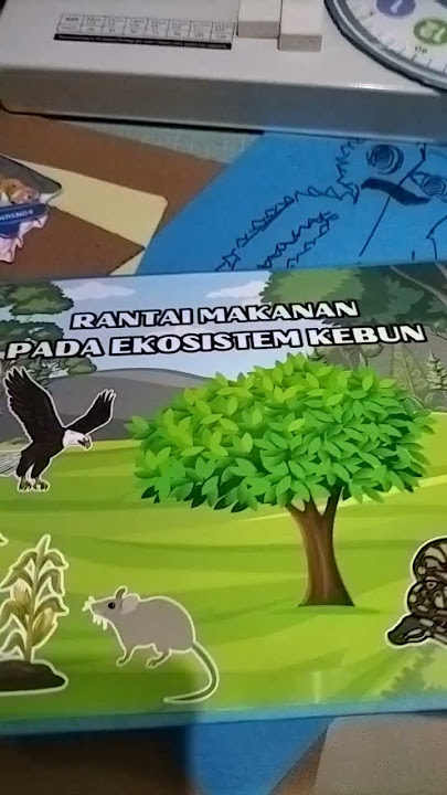 Mantap guys, pop up book rantai makanan ekosistem kebun