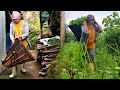 Cutting Fodder for Pigs || Traditional Life of Village Woman | Bijaya Limbu